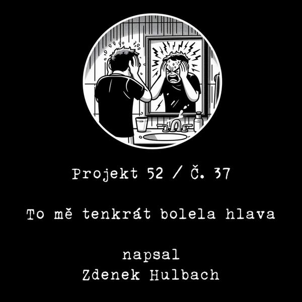 Projekt 52